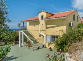 Palati