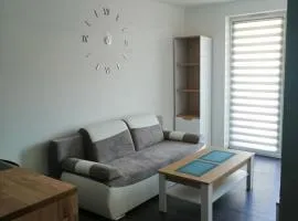 Fajny Apartament EXPO TAURON ARENA
