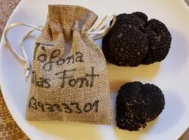 Más Font