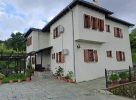 Olga Studios