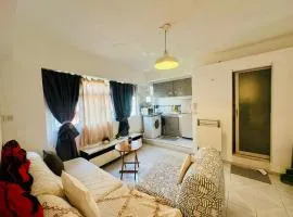 Spacious House Near Soho & PmQ