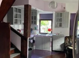 House in the new center,Brasov