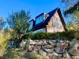 Doinita House