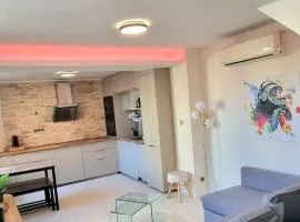 ! Magnifique Triplex climatisé Avec Sauna Cœur De Ville !
