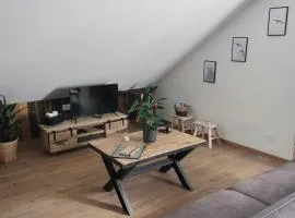 Appartement neuf Le Grenier d'Oscar