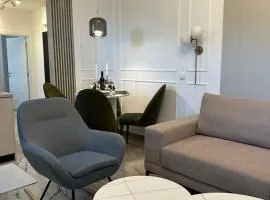 Mila apartman Banja Koviljaca
