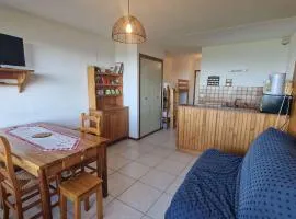 Studio Chaleureux 4 Pers avec Terrasse - Saint-Michel-de-Chaillol - FR-1-393-52
