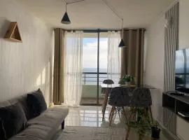 Departamento frente al Mar en sector de Parque Playa Brava