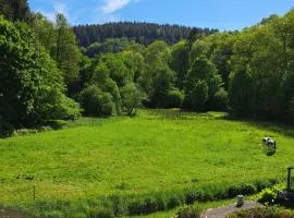 EL MIRADOR - Ferienwohnung Nähe Nürburgring - Eifel - Ahr - Rhein - RENOVIERT