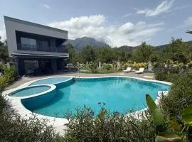 Canyon Villa Göynük Kemer Antalya with Pool