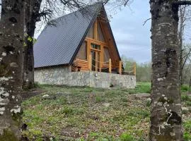 Holiday Home Veruša、ポドゴリツァのコテージ