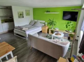 Ferienwohnung Bergblick