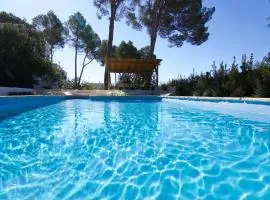 Spacious & Luxury villa in Ibiza - Santa Gertrudis - Villa Chiquita