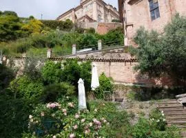 Il giardino di Olivia