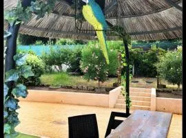 Résidence Dicieppo