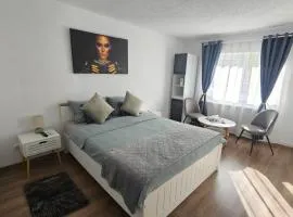 Travel Pass Apartment