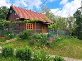 Kokotova hiža