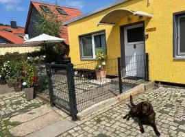 Bungalow in Wernigerode near Ski Slope