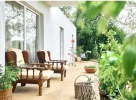 RomaOlyaHouse