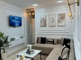 Luxury apartment in the city center
