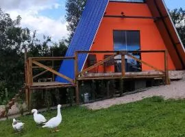 Sítio Eco-Betel Chalé Pitanga