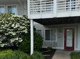 Northern Light Condominiums: Condo 12