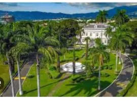 Apt Near Devon - Kingston- POOL- B306 FIWI