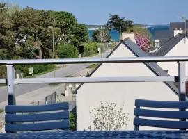 Appartement T3 près plage, parking, animaux admis, 4 personnes - FR-1-775-23