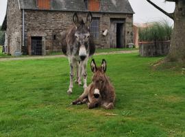 La Billardière Camping à la Ferme, hotel in Le Ménil-Ciboult