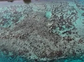Hava'e Lodge TEAHUPOO
