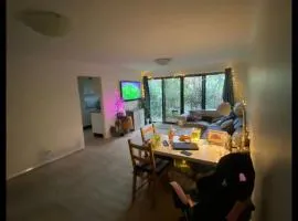 Hidden Gem North Sydney