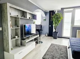 Savić Apartment CENTER - PARKING FREE