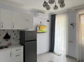 N2 House
