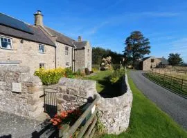 Vesta View & Shepherds Retreat