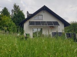 Luessishausen im Lüsserttal mit 140m2 und Glasfaser-DSL, Hotel in Feilbingert