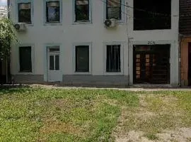Petar Pan