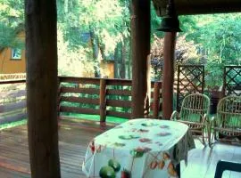 Żółty Domek
