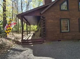 Camp Valentine- charming 3 bedroom cabin with hot tub and fireplace in private setting