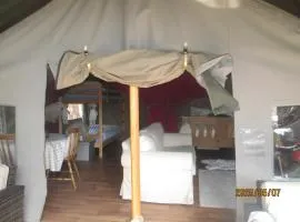 Luxury tree top glamping safari tent