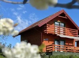 Resort Dudukovic 1