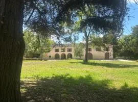 Celinatura