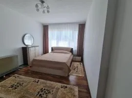 Apartment Kajon