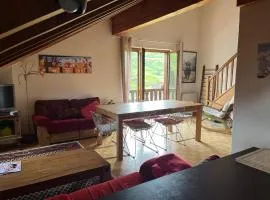 Chalet Les Rhodos appartement le Yeti