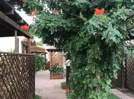 Vacanze Relax Mare e Pineta Maremma Toscana