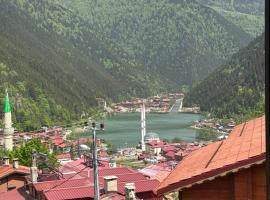 Şimo Suite Otel, Hotel in Uzungöl