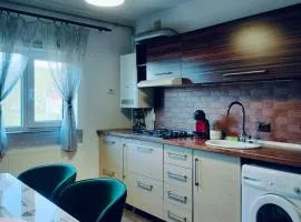Apartament ELSA