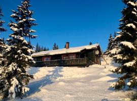 Large cabin at Sjusj&oslash;en with sauna, fireplace, view and cross-country skiing