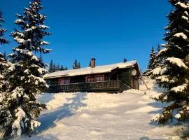 Large cabin at Sjusjøen with sauna, fireplace, view and cross-country skiing