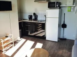 Rent studio 25 m2 city center, Brest