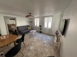 Appartement cosy et lumineux a Barr